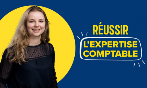 Réussir l'expertise comptale Julie Laniaud 